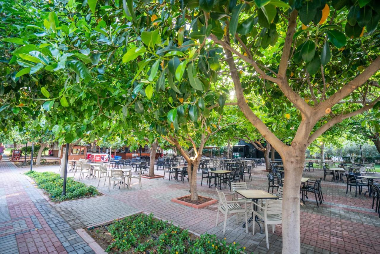 Gardenia Beach Hotel ألانيا المظهر الخارجي الصورة